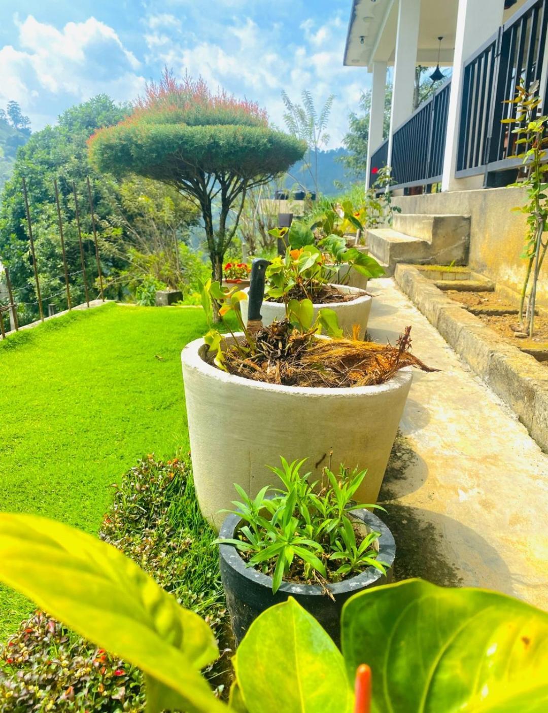 فندق Two Rock Vista إيلا المظهر الخارجي الصورة
